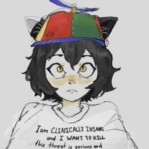 Meet your Posher, Kiji